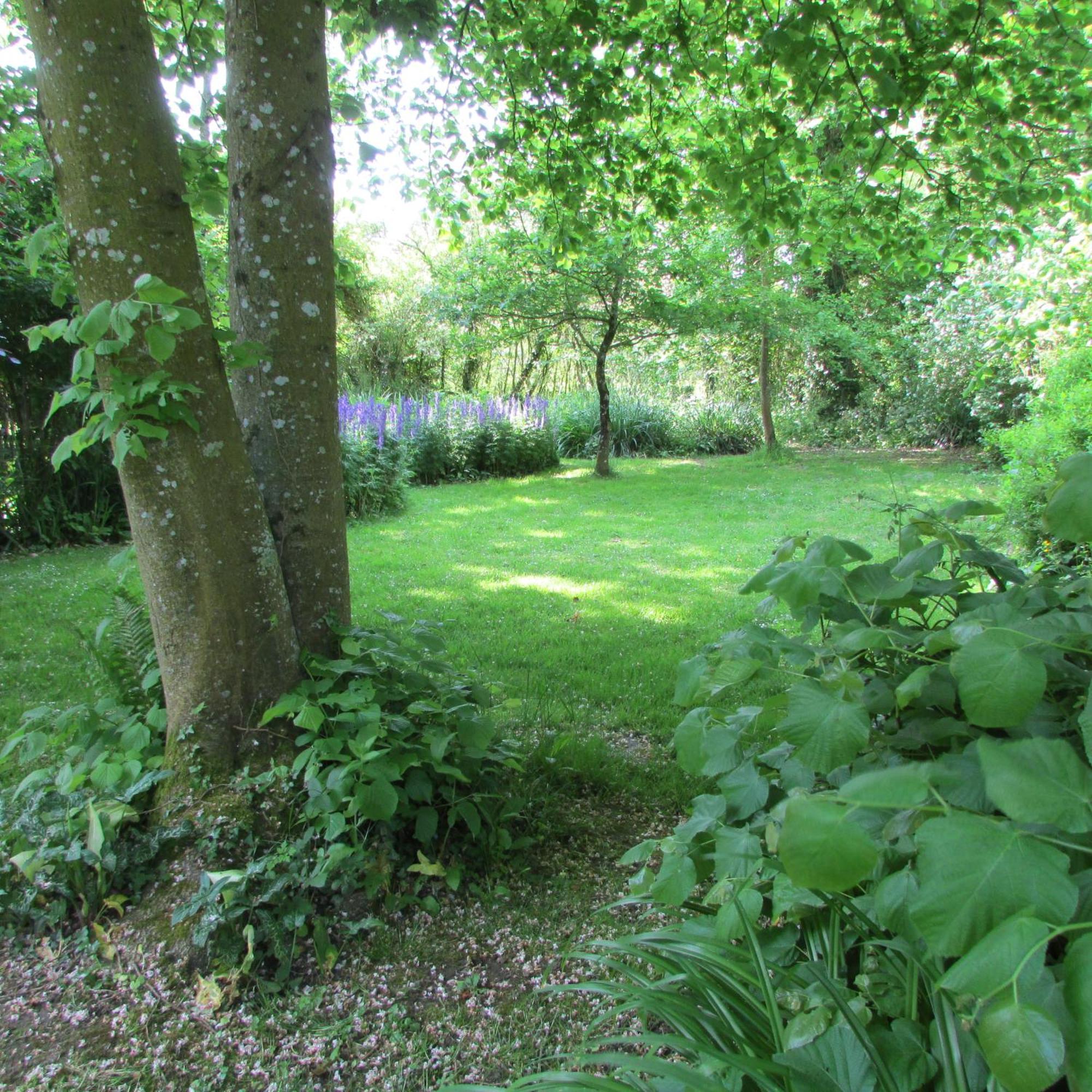 Gite Manoir Les Camps Greslins Questrecques Exteriör bild