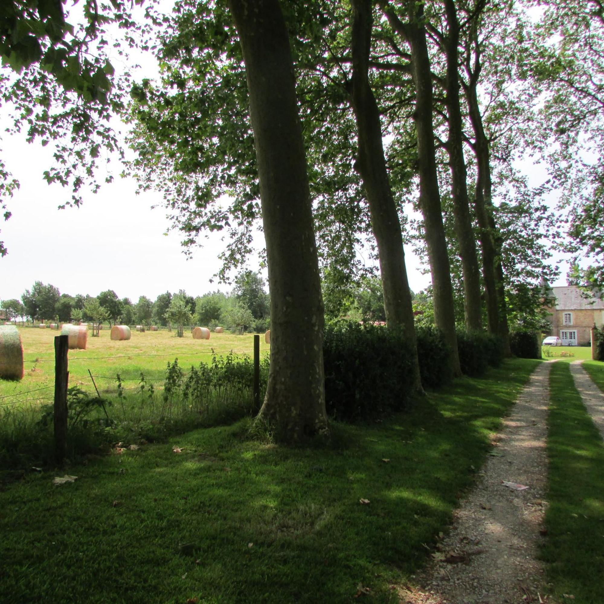Gite Manoir Les Camps Greslins Questrecques Exteriör bild